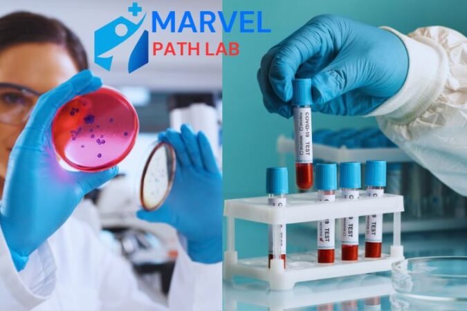 Marvel Path Lab HDFC Bank Jharsa Chowk, Gurugram, Haryana